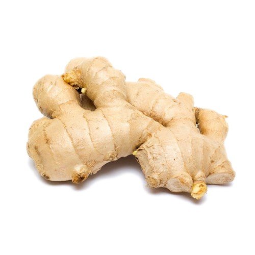 GINGER